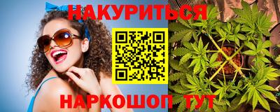 спиды Кингисепп