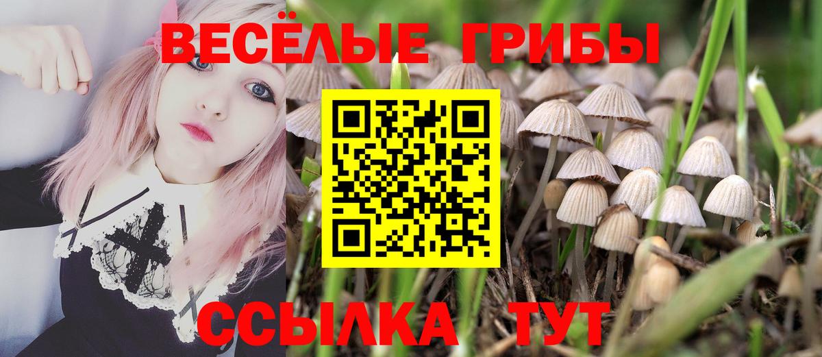 Красноармейск  Псилоцибиновые грибы Psilocybine cubensis  купить наркотики цена  Вход с VPN 